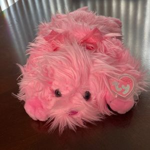 Ty Beanie Babies Pinkys Lil’ Gloss Dog Puppy Buddy Rare Vintage Collectible